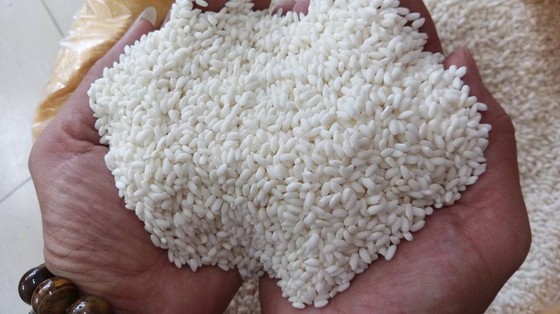 Bộ Công thương hỏi, Bộ NN-PTNT trả lời về gạo nếp ảnh 1