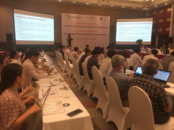 Việt Nam nhận 51,5 triệu USD để giảm phát thải khí nhà kính ảnh 1