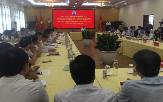 Cả nước có hơn 25.000 hợp tác xã ảnh 1