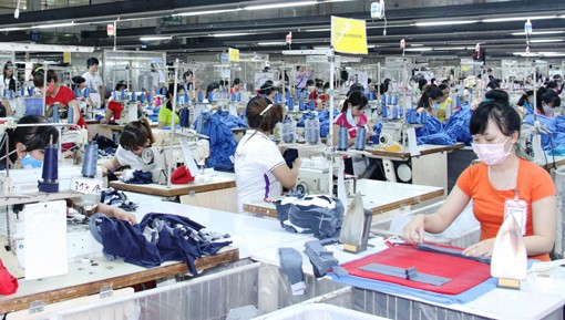 Chấp nhận miễn thuế cho 2 công ty ở Bình Dương sau khi bị truy thu thuế hàng chục tỷ đồng ảnh 1