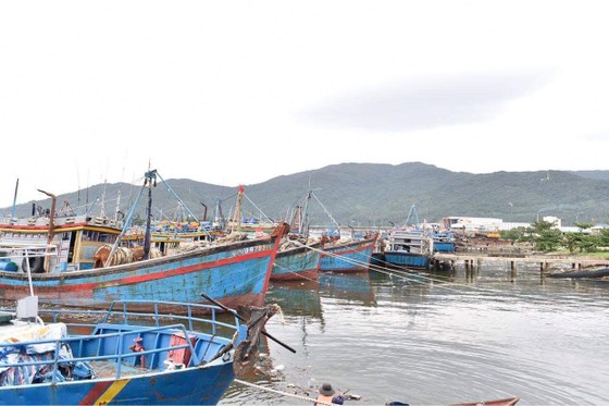 Phó Thủ tướng Trịnh Đình Dũng đang ở tâm bão để chỉ huy ứng phó ảnh 4