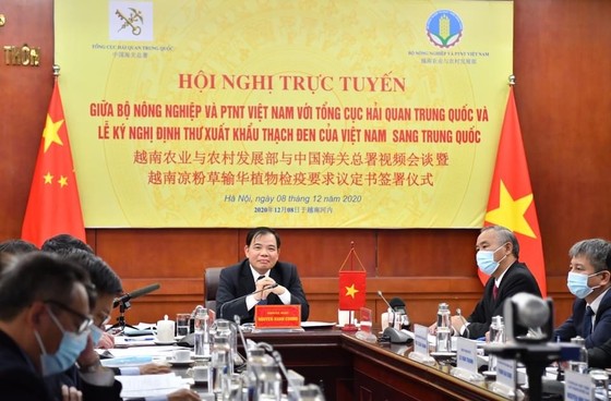 Ký kết xuất khẩu thạch đen Việt Nam sang Trung Quốc ảnh 2