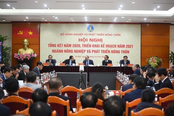 Bất chấp dịch Covid-19, nông nghiệp Việt Nam vẫn 'làm nên kỷ lục' ảnh 1