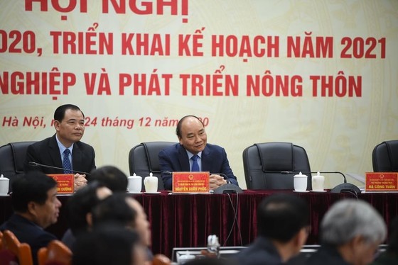 Bất chấp dịch Covid-19, nông nghiệp Việt Nam vẫn 'làm nên kỷ lục' ảnh 2