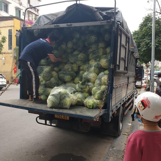 Khẩn trương cấp giấy tờ cho nông sản ở vùng có dịch ảnh 2