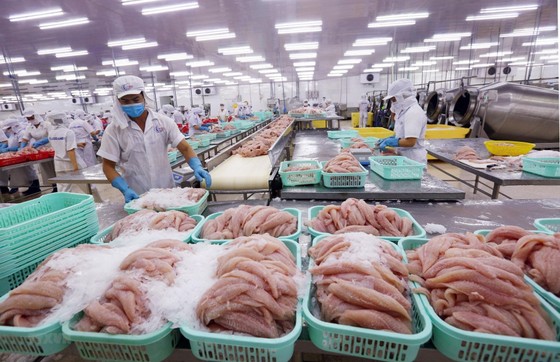 Để vực dậy thị trường tiêu thụ nông sản của Việt Nam và Nga ảnh 2