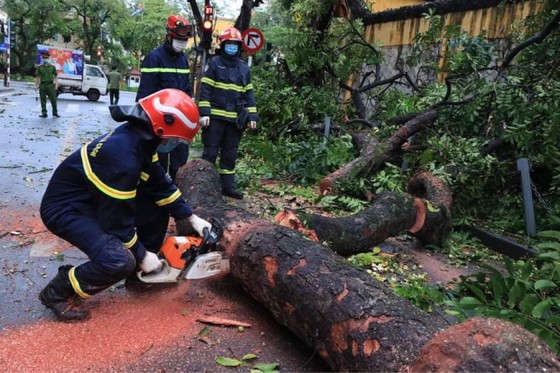 Hà Nội mưa to, cây cổ thụ đổ làm sập tường TAND Tối cao ảnh 5