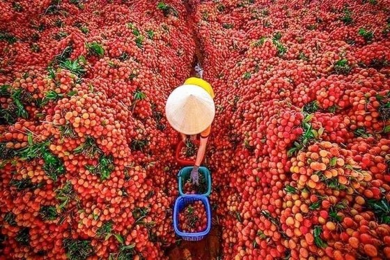 Vừa ngơi bão lại nắng nóng kéo dài nhiều ngày ảnh 1