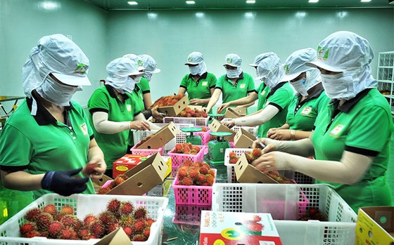 Thị trường Anh là 'mỏ vàng' của nông sản Việt Nam ảnh 1