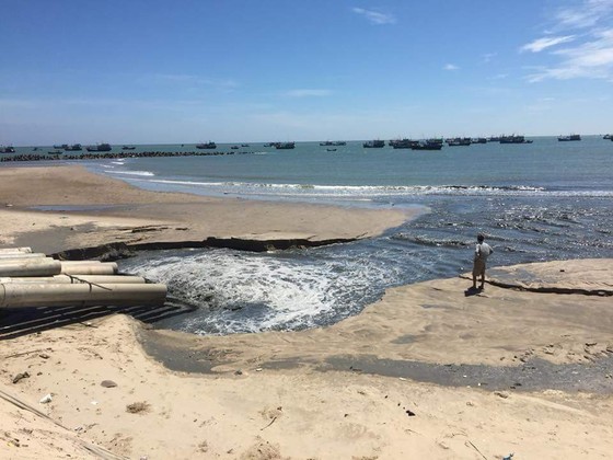 Nước có màu đen thải ra cửa biển La Gi không phải là nước thải từ các cơ sở chế biển hải sản ảnh 1