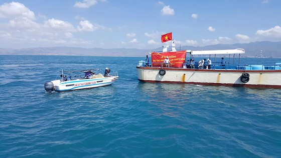 Thả hàng trăm ngàn con giống xuống biển Bình Thuận ảnh 1