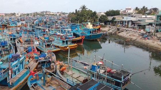 Bình Định chấn chỉnh hoạt động giao dịch bất động sản trái quy định ảnh 1