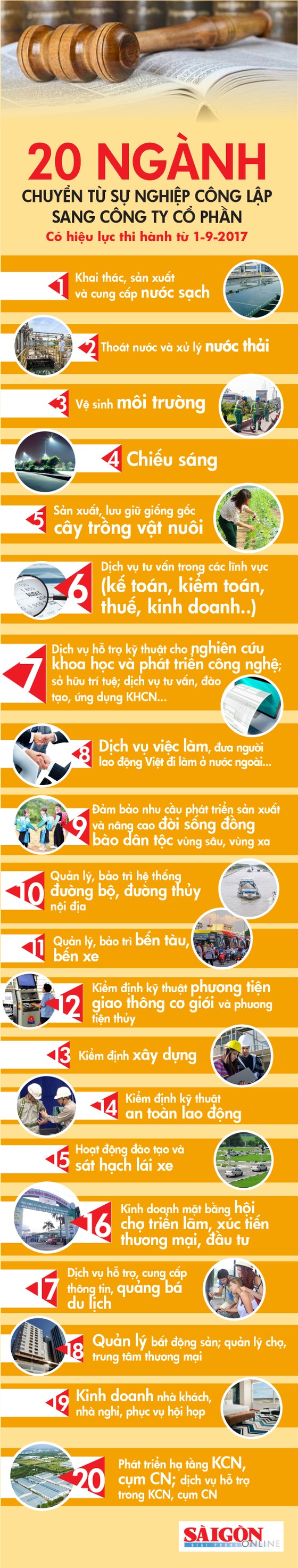 20 ngành chuyển từ sự nghiệp công lập sang công ty cổ phần từ 1-9-2017 ảnh 1