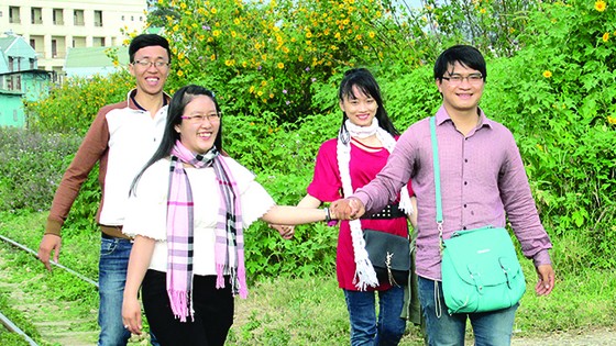 Đà Lạt vào mùa hoa dại ảnh 2
