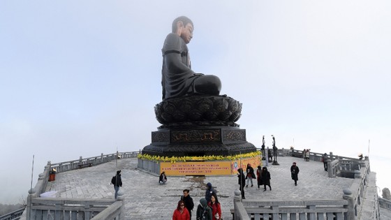 Lên rừng, xuống biển, ra đảo xa… cứ đi Sun World là Tết vui trọn vẹn ảnh 2