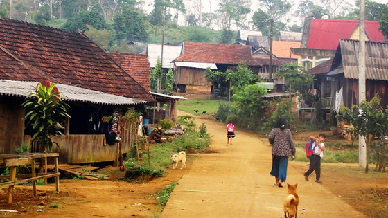 Trên đỉnh Dốc Trời ảnh 1
