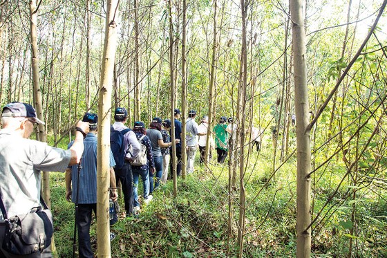 Chương trình Về nguồn Tưởng nhớ 100 năm ngày sinh Cố Chủ tịch Danh dự HĐQT Công ty CP Tập đoàn Hòa Bình Lê Mộng Đào ảnh 2