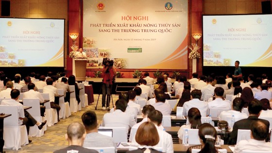 Tìm giải pháp đưa nông thủy sản Việt Nam sang Trung Quốc ảnh 1
