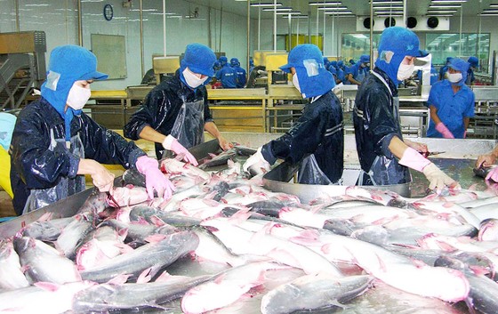 Tăng giá trị sản phẩm thủy sản để cạnh tranh ảnh 1