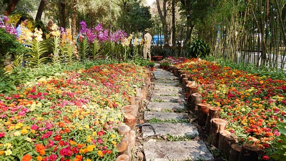 19-1: Khai Hội Hoa xuân TPHCM ảnh 2