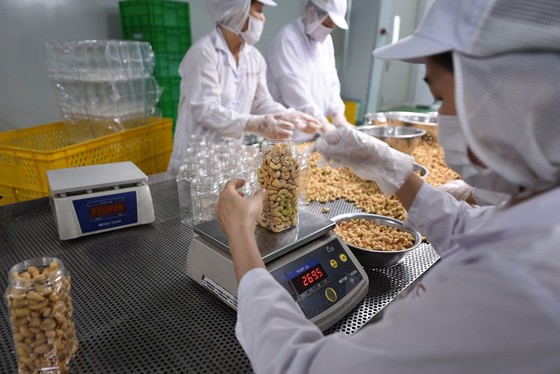 Mục tiêu xuất khẩu 4 tỷ USD điều sẽ phải giảm ảnh 2