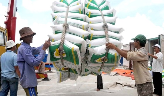 Cần minh bạch trong xuất khẩu gạo ảnh 1