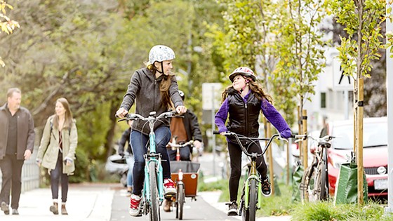 Paris khuyến khích người dân sử dụng xe đạp ảnh 1