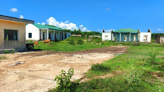 Hai dự án bỏ hoang, lãng phí ảnh 1