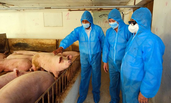 Hỗ trợ ngành chăn nuôi khôi phục sản xuất ảnh 1