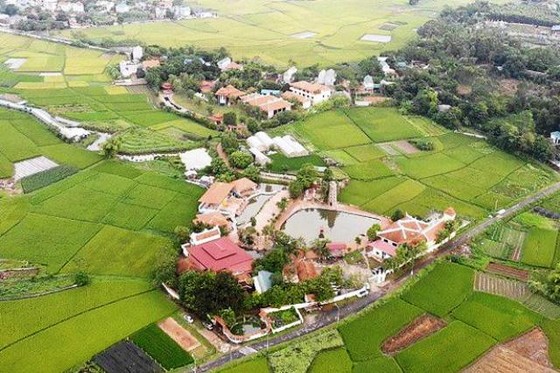 Thu hồi toàn bộ đất mua bán vi phạm của sư Thích Thanh Toàn quanh chùa Nga Hoàng ảnh 1