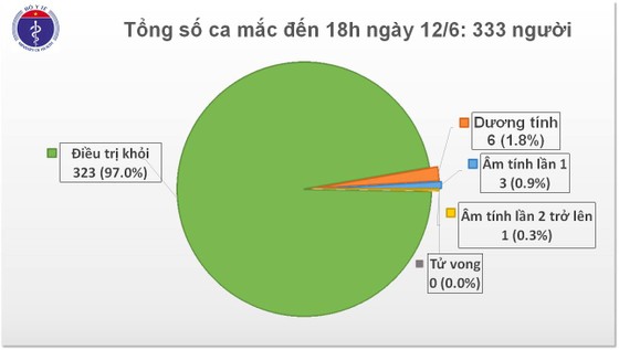 Phát hiện một thuyền viên tàu biển mắc Covid-19 ảnh 2