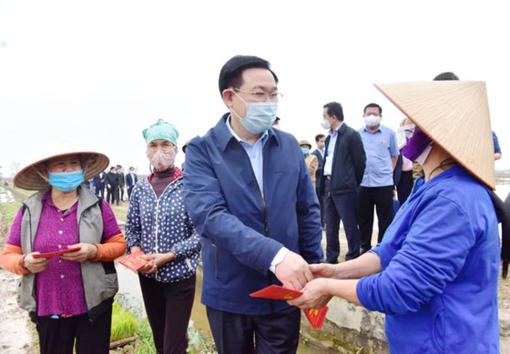 Lãnh đạo TP Hà Nội xuống ruộng đầu xuân cùng bà con nông dân ảnh 2