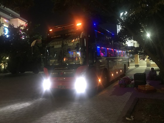 Bắt hàng ngàn con rắn lúc nhúc dưới hầm xe khách ảnh 1