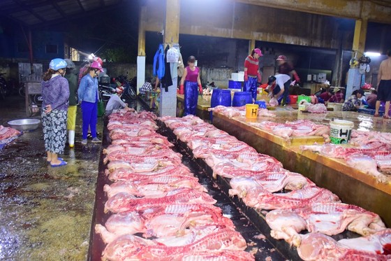 Chủ tịch UBND tỉnh Thừa Thiên – Huế kiểm tra chốt kiểm dịch lúc nửa đêm ảnh 4