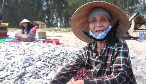 Video: Kéo "lưới rồng" bắt 2 tấn cá ảnh 2