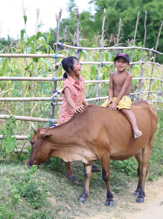 Ngày hè của trẻ vùng quê ảnh 2
