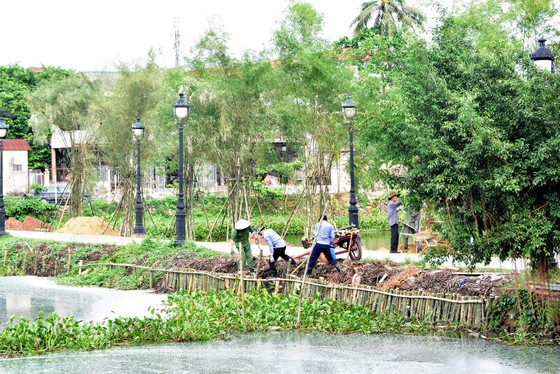 Trồng tre chống sạt lở danh thắng nổi tiếng Kinh thành Huế ảnh 3