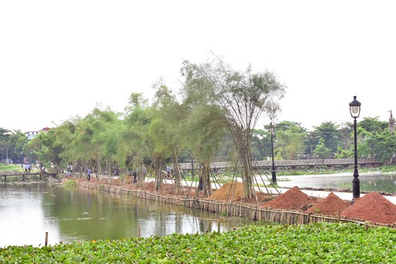 Trồng tre chống sạt lở danh thắng nổi tiếng Kinh thành Huế ảnh 2