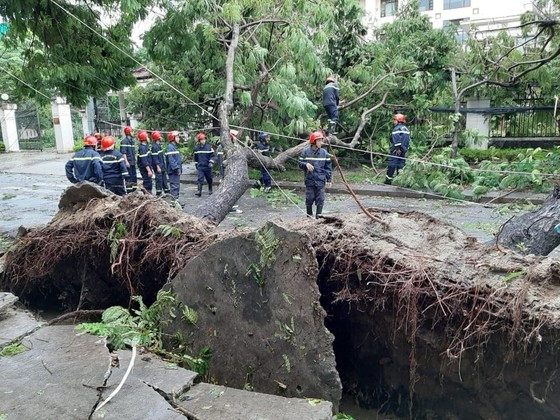 Thừa Thiên – Huế ra quân dọn dẹp cây xanh ngã đổ sau bão số 5 ảnh 1