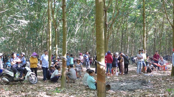 Bình Phước: Bắt giam kẻ hiếp bé gái 4 tuổi, ném xuống giếng ảnh 1