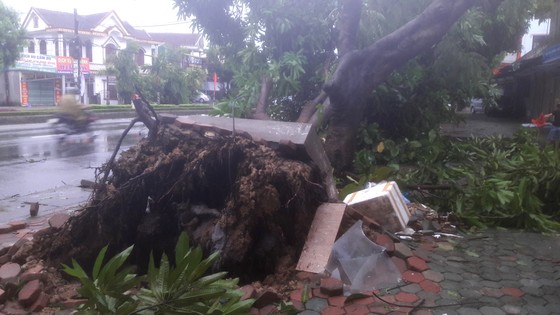 Hà Tĩnh: Bão số 2 đổ bộ khiến hàng loạt cây xanh, cột điện, biển hiệu... bị gãy đổ ảnh 23
