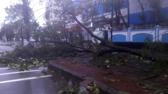 Hà Tĩnh: Bão số 2 đổ bộ khiến hàng loạt cây xanh, cột điện, biển hiệu... bị gãy đổ ảnh 12