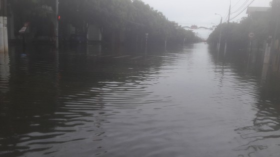 Hà Tĩnh: Bão số 2 đổ bộ khiến hàng loạt cây xanh, cột điện, biển hiệu... bị gãy đổ ảnh 4