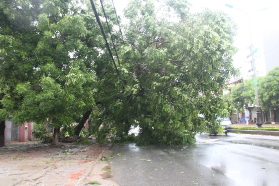 Hà Tĩnh: Bão số 2 đổ bộ khiến hàng loạt cây xanh, cột điện, biển hiệu... bị gãy đổ ảnh 16