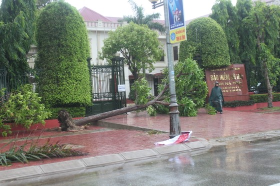Hà Tĩnh: Bão số 2 đổ bộ khiến hàng loạt cây xanh, cột điện, biển hiệu... bị gãy đổ ảnh 9
