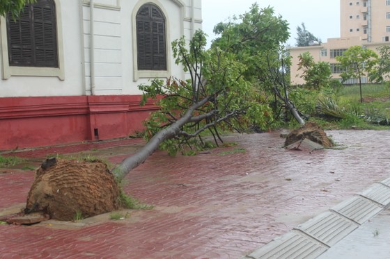 Hà Tĩnh: Bão số 2 đổ bộ khiến hàng loạt cây xanh, cột điện, biển hiệu... bị gãy đổ ảnh 8