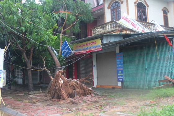 Hà Tĩnh: Bão số 2 đổ bộ khiến hàng loạt cây xanh, cột điện, biển hiệu... bị gãy đổ ảnh 14