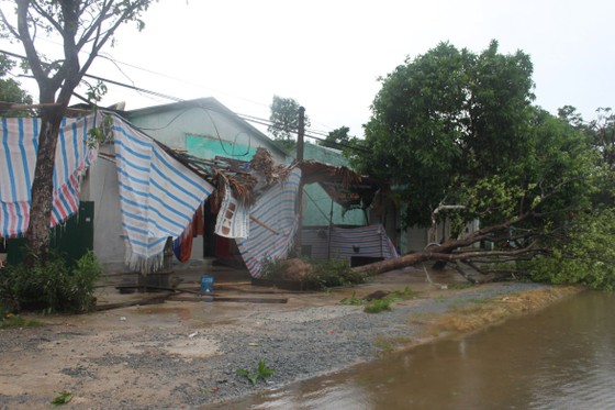 Hà Tĩnh: Bão số 2 đổ bộ khiến hàng loạt cây xanh, cột điện, biển hiệu... bị gãy đổ ảnh 10