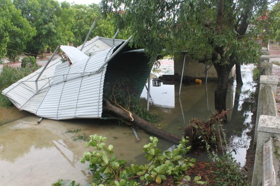 Hà Tĩnh: Bão số 2 đổ bộ khiến hàng loạt cây xanh, cột điện, biển hiệu... bị gãy đổ ảnh 7