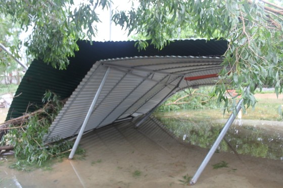Hà Tĩnh: Bão số 2 đổ bộ khiến hàng loạt cây xanh, cột điện, biển hiệu... bị gãy đổ ảnh 6